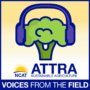 Voices from the Field Logo