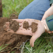 Examines soil health USDA NRCS Texas
