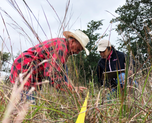Steve Nelle, a Soil for Water advisor, monitors a section of a Texas ranch.