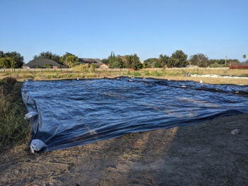 Tarp in place for solarization