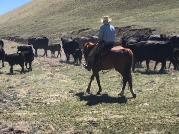 Photo: Badger Creek Ranch