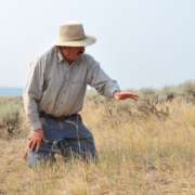 A man counting plants in his field